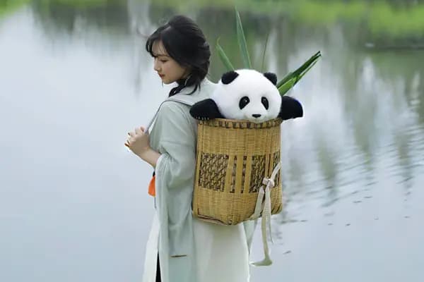 竹篓中的熊猫玩偶随行经过成都水岸，用于表达日常陪伴